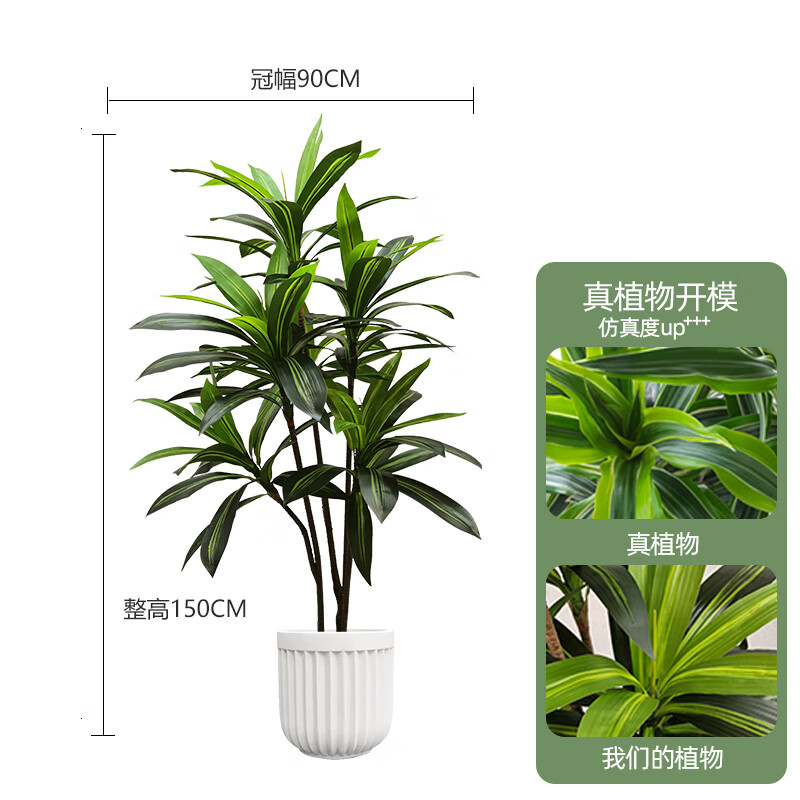 森空间仿真植物巴西木室内客厅落地盆栽装饰摆件北欧风仿生假绿植