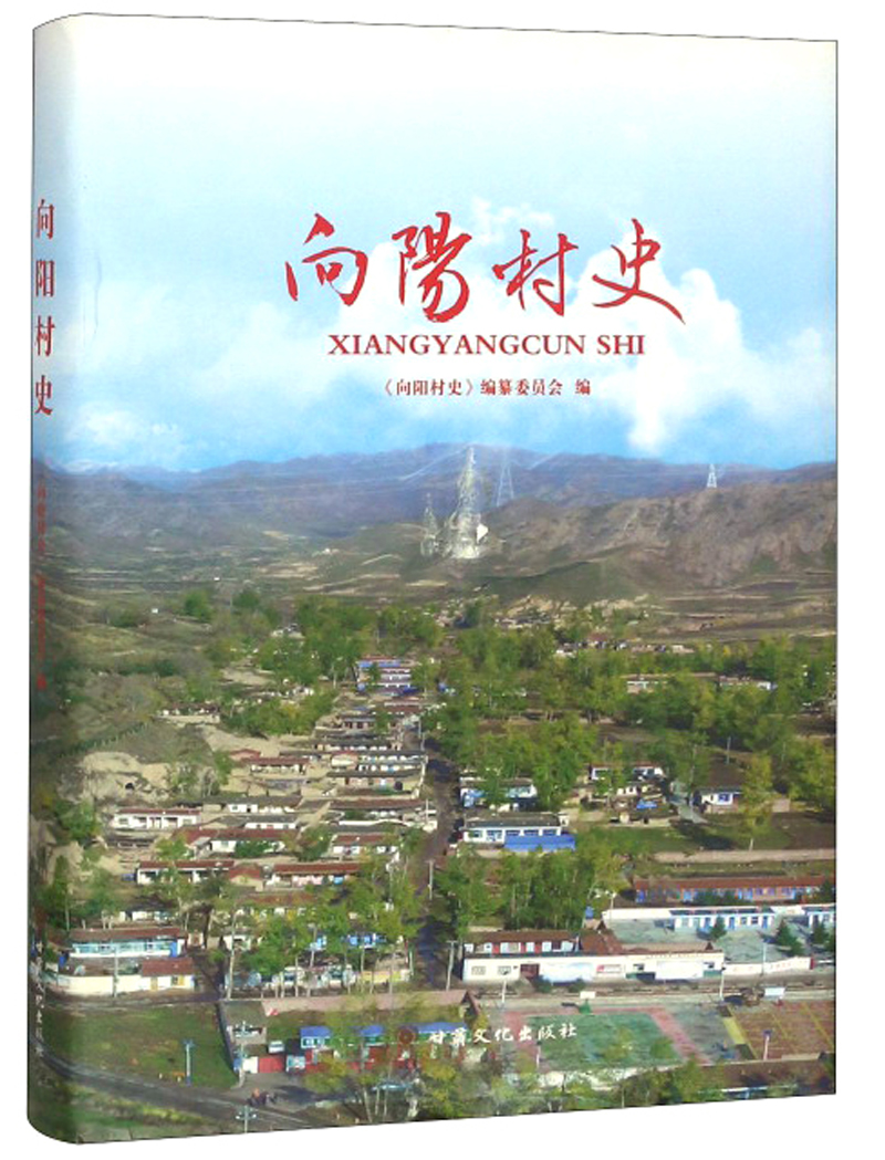 向阳村史