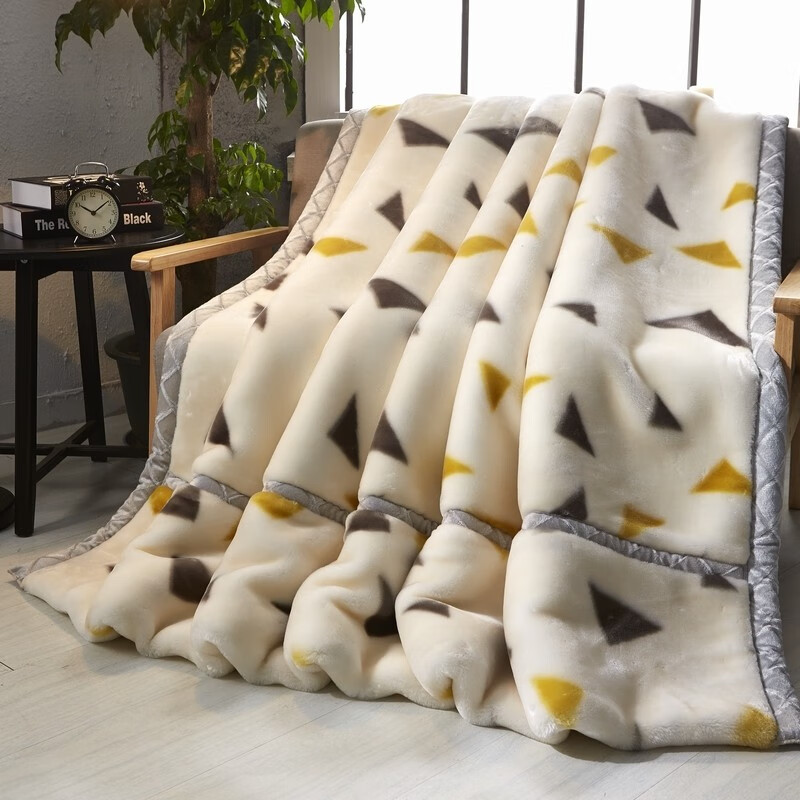 怡莉秀 毛毯 拉舍尔加厚毯子秋冬保暖毛毯被单双人午休盖毯空调被 米三角 150*200cm-约4斤
