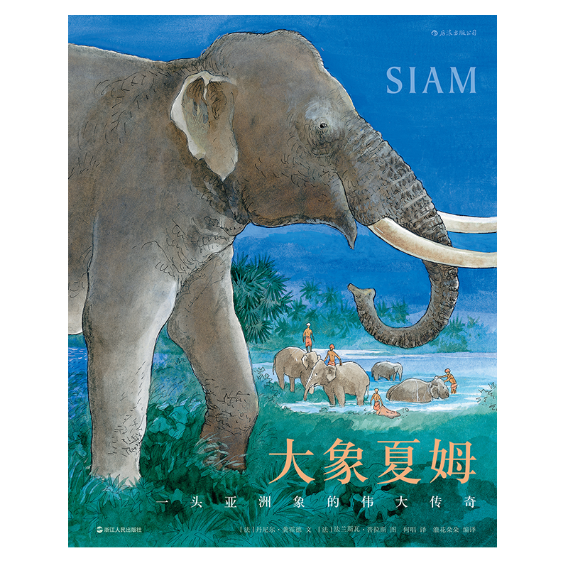 大象夏姆 Siam