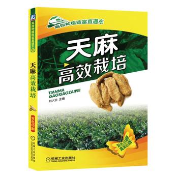 天麻高效栽培