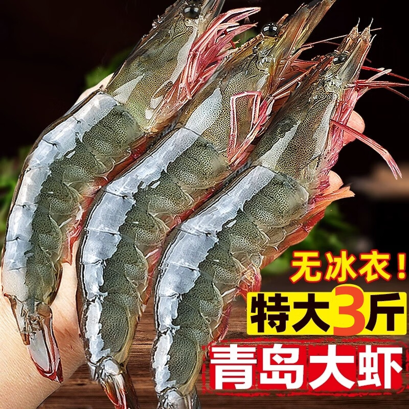 大虾鲜活超大基围虾特大青虾冷冻青岛鲜对虾速冻海虾虾类海鲜水产 1500g 10-12cm 单只冻 净重无冰衣