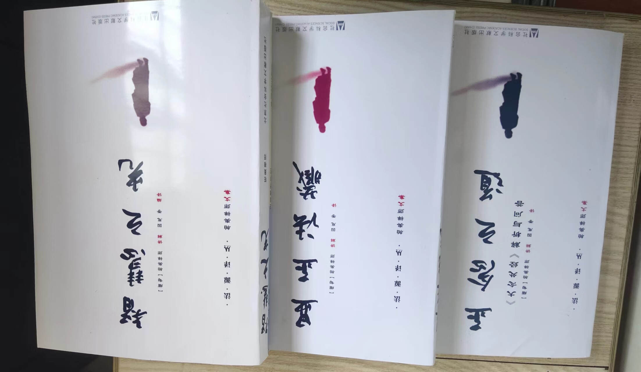 正念之道+智慧之光+显正法藏 共3本 (缅)帕奥禅师 讲解 园慈