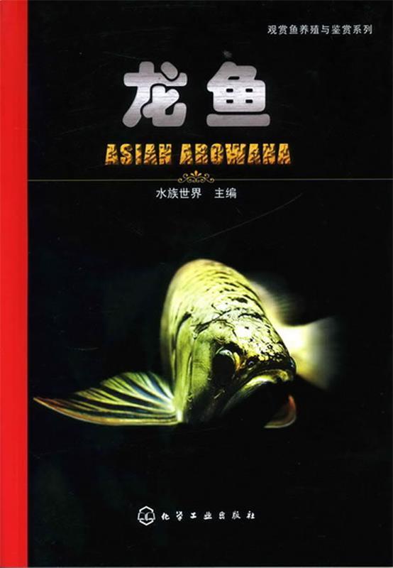 观赏鱼养殖与鉴赏系列--龙鱼 水族世界 