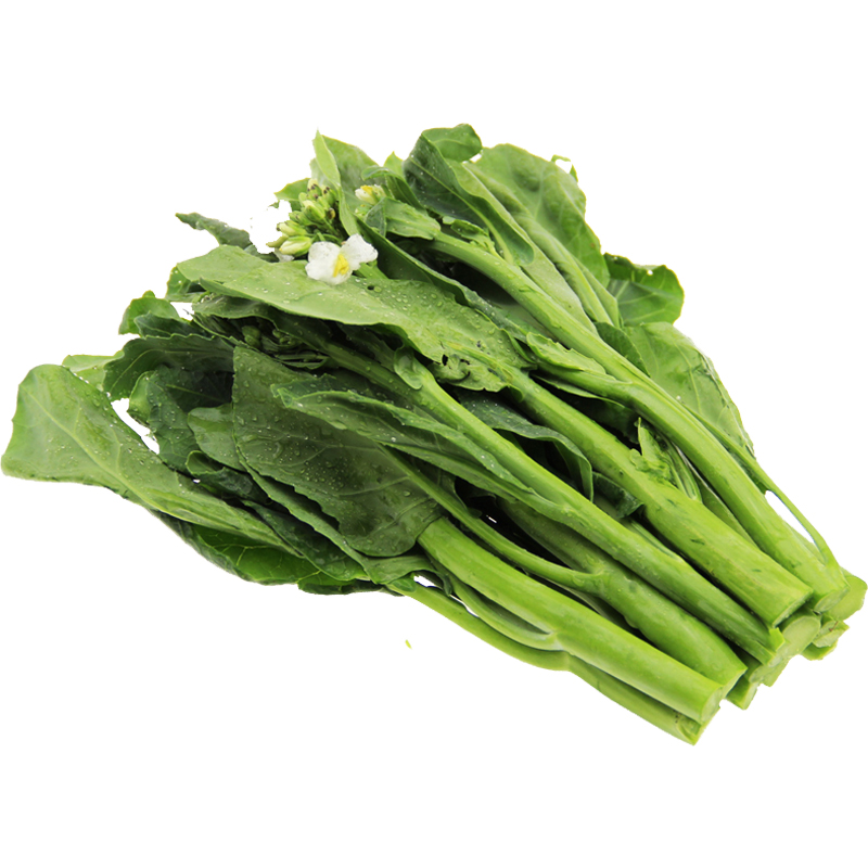 芥兰种籽 四季易种白花芥兰种籽盆栽菜园广东芥兰籽露天栽培产量高