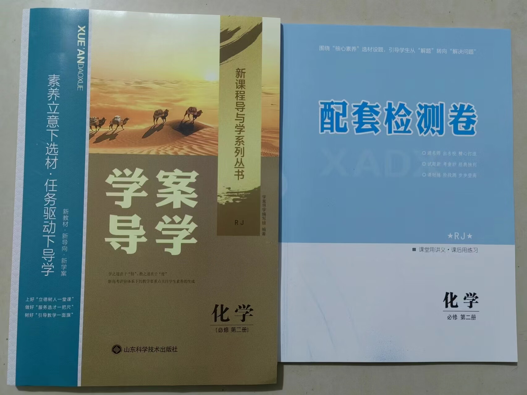 版学案导学化学必修第二册正版