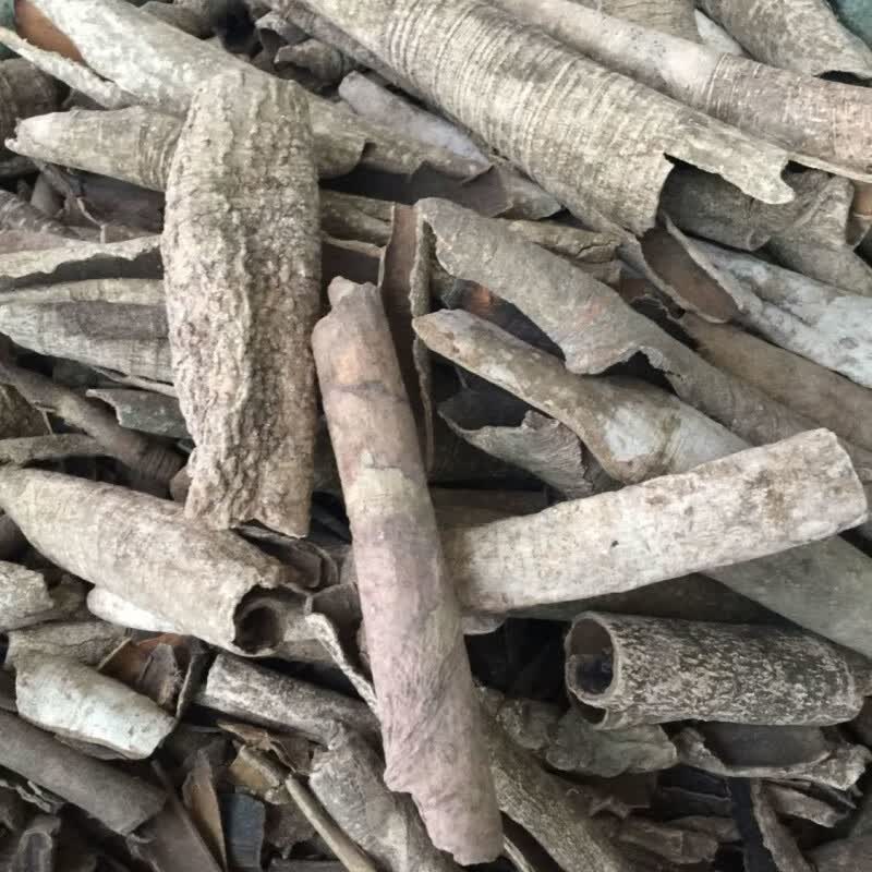 救必应中药材龙胆木皮500g干货龙胆树皮四方木皮米碎木木皮粉 500g