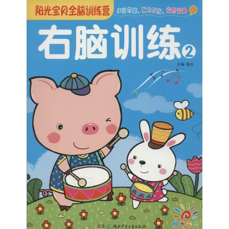 右脑训练  湖南少年儿童出版社