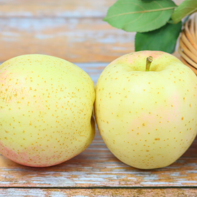 鲜姿 正宗大连王林苹果青森麻脸美人贵妃礼盒黄苹果生鲜孕妇新鲜水果 净重4.5斤特大果(单果80+mm)