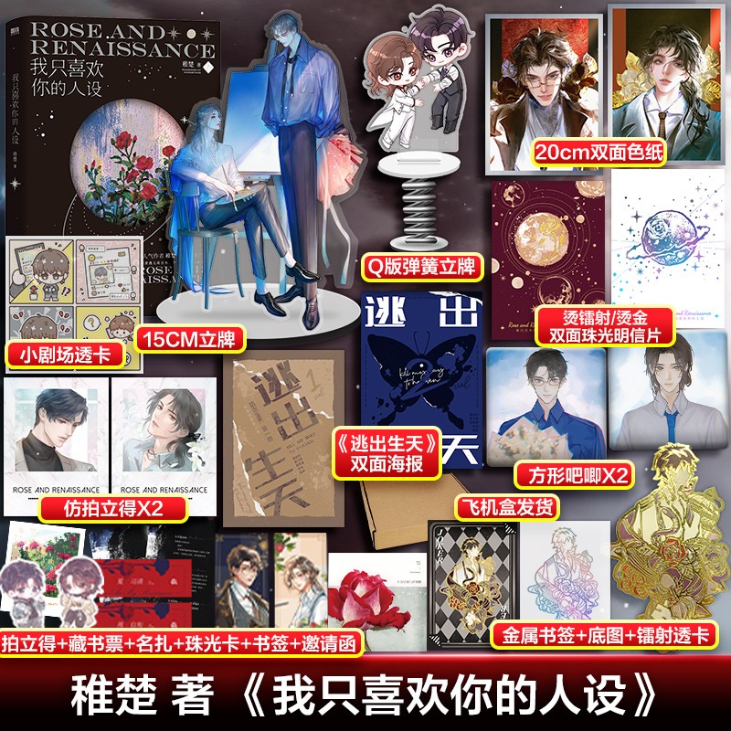畅销青春文学系列实体小说 【定制版】我只喜欢你的人设