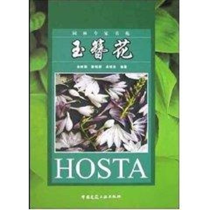 玉簪花