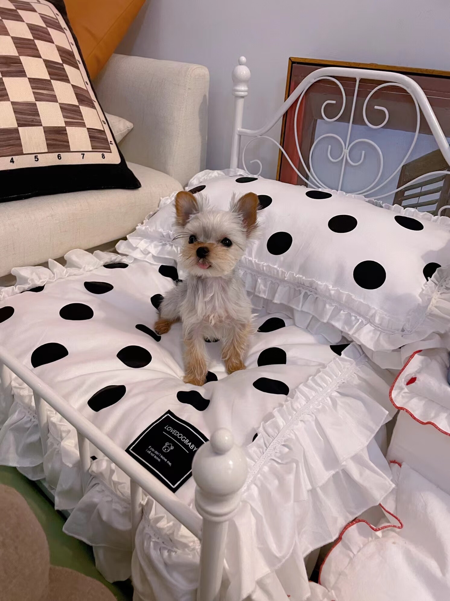 瑾伦四季通用 网红ins铁艺床凉席公主床宠物狗窝可拆洗狗狗猫床 白色