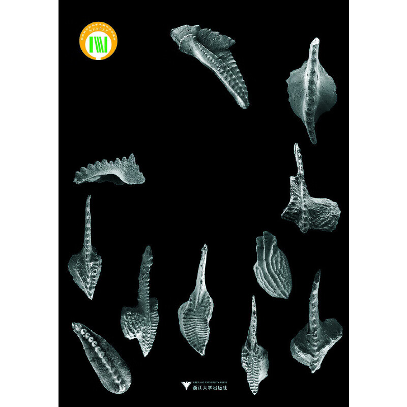 中国石炭纪牙形刺