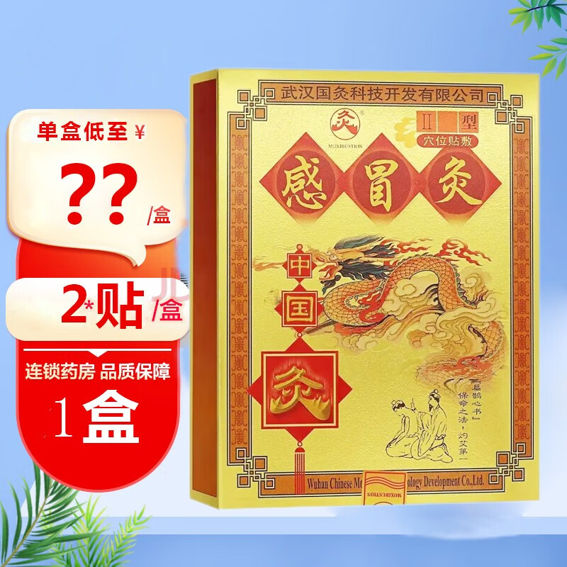 效期到24年12月】久火中国灸 感冒灸2贴 武汉国灸