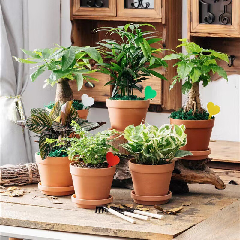 花帮主 花盆简约花盆阳台种植养花绿萝多肉植物透气性好陶瓷花盆发财