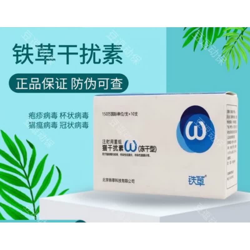 北京铁草猫用重组干扰素150万单位治疗猫瘟鼻支杯状冠状醉俊 铁草