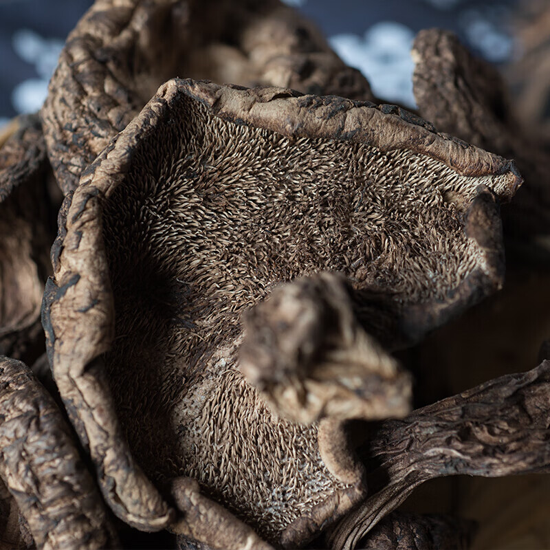 宜享健康黑虎掌菌干货100g云南特产黑虎掌菇新鲜蘑菇菌类煲汤营养菌子