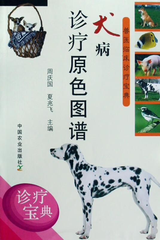 犬病诊疗原色图谱/兽医临床诊疗宝典