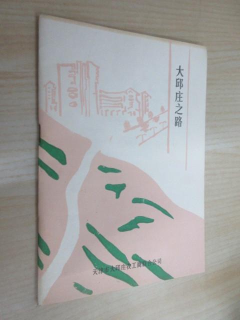 保证正版 可开发票！！大邱庄之路