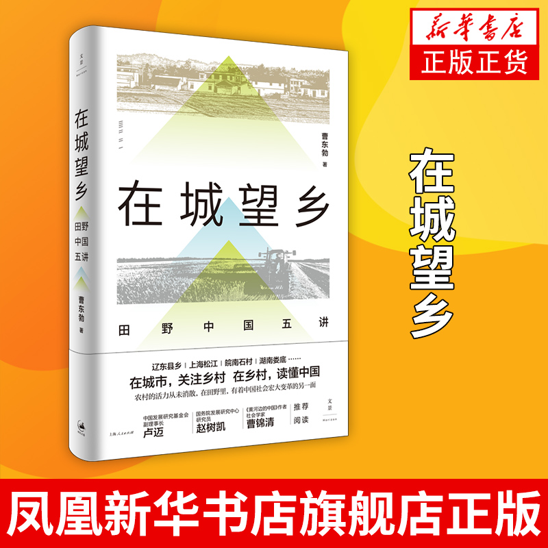 在城望乡 : 田野中国五讲 曹东勃著 关注乡村读懂中国社会变革城乡协调发展研究 凤凰新华书店旗舰店