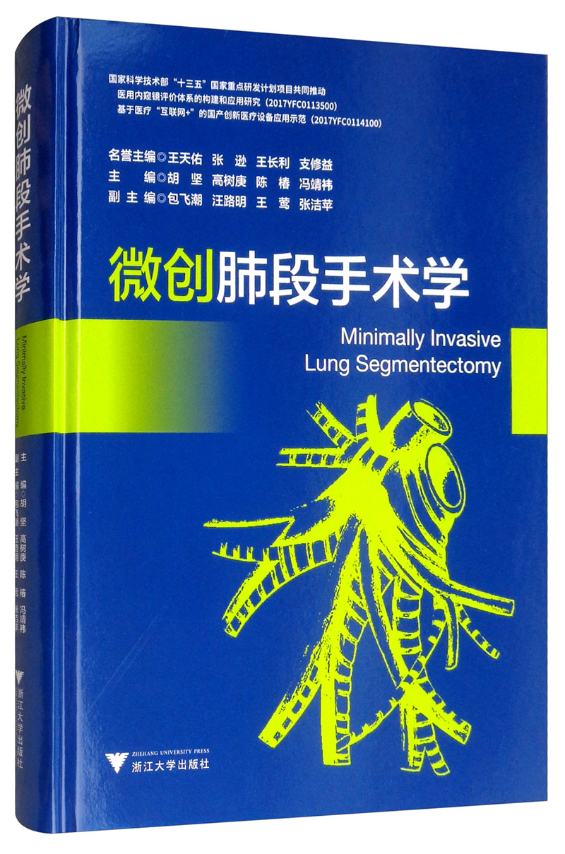 微创肺段手术学