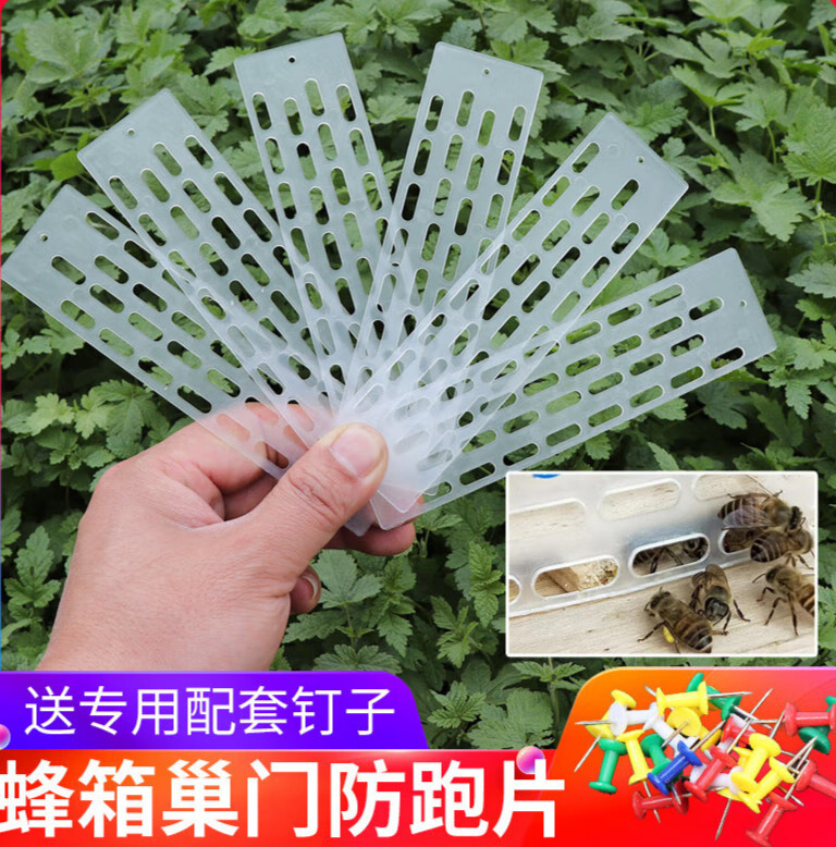 塑料蜂王防跑片中蜂专用防逃片蜜蜂箱巢门防盗隔王板配钉养蜂工的 20