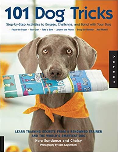 dog tricks: step by step activities to engage, challenge, and