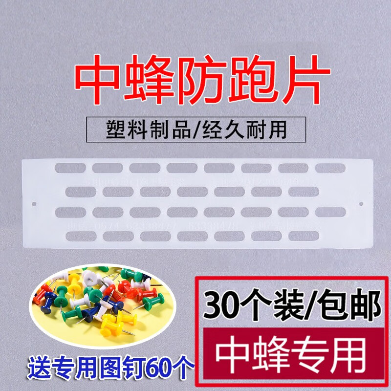 蜂之家【30片】中蜂蜂王防跑片防逃王片隔王片巢门防逃器蜜蜂养蜂工具