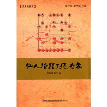 仙人指路对飞右象 陆伟韬,单欣 9787509633557 经济管理出版社