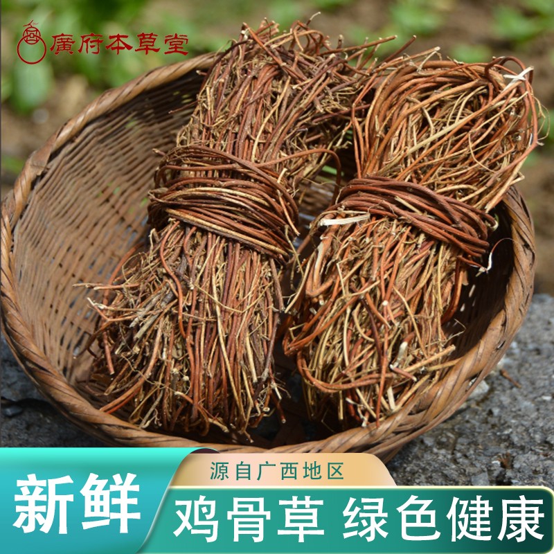 Guangfu Bencao Tang Chicken Bone Grass 500g