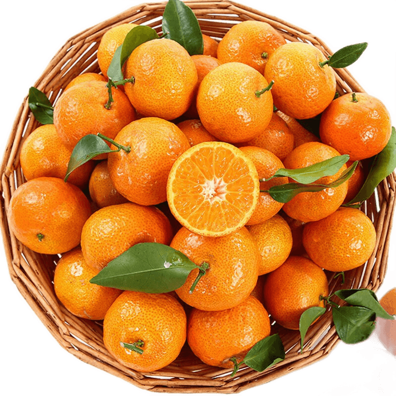 橘子沙糖桔新鲜当季水果现摘现发早熟金秋薄皮超甜 精选装 3斤砂糖橘