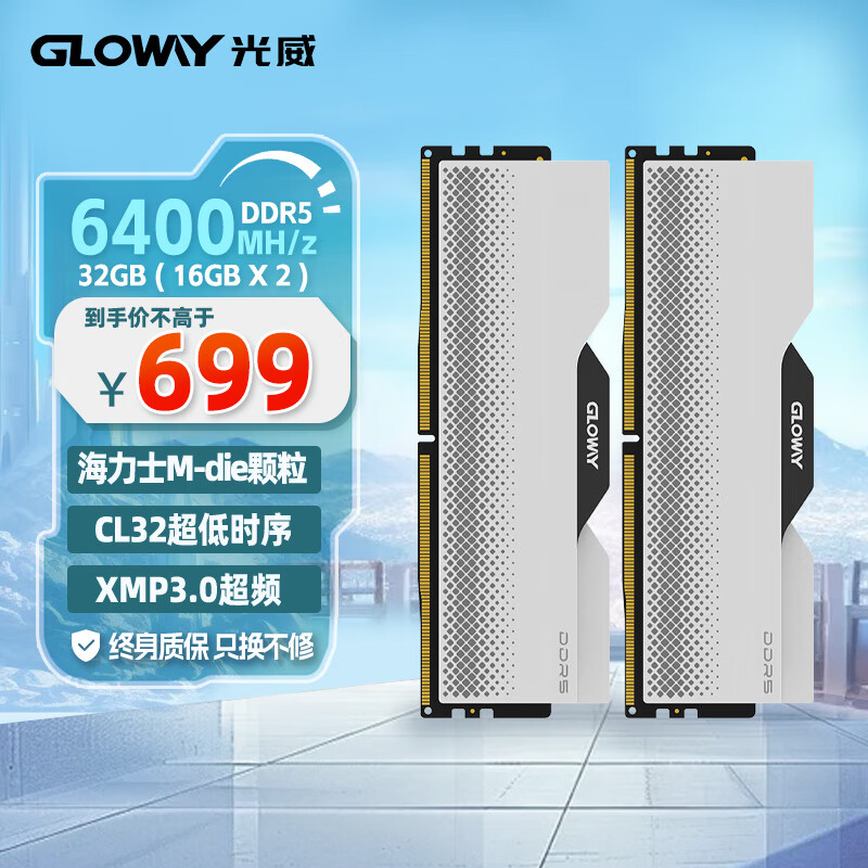 光威（Gloway）32GB(16GBx2)套装 DDR5 6400 台式机内存条 龙武系列 海力士M-die颗粒 CL32 适配黑神话悟空