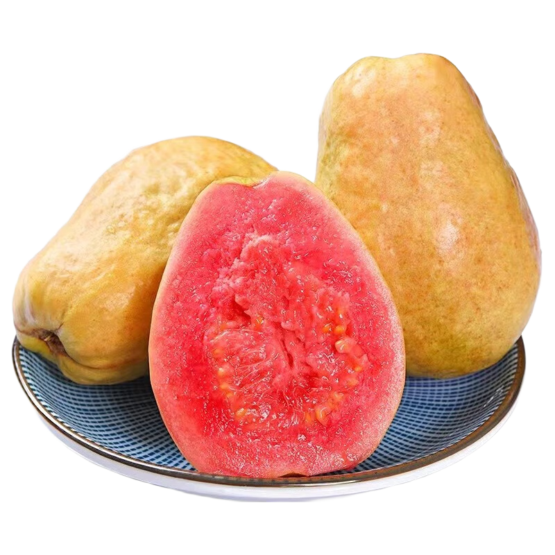 GANXIAN�������������֣�˳��/��ժ����������Ŵ����ܿڸз�ʯ��ʺ�� 10�� 516.99Ԫ��3��(��172.33Ԫ/��)