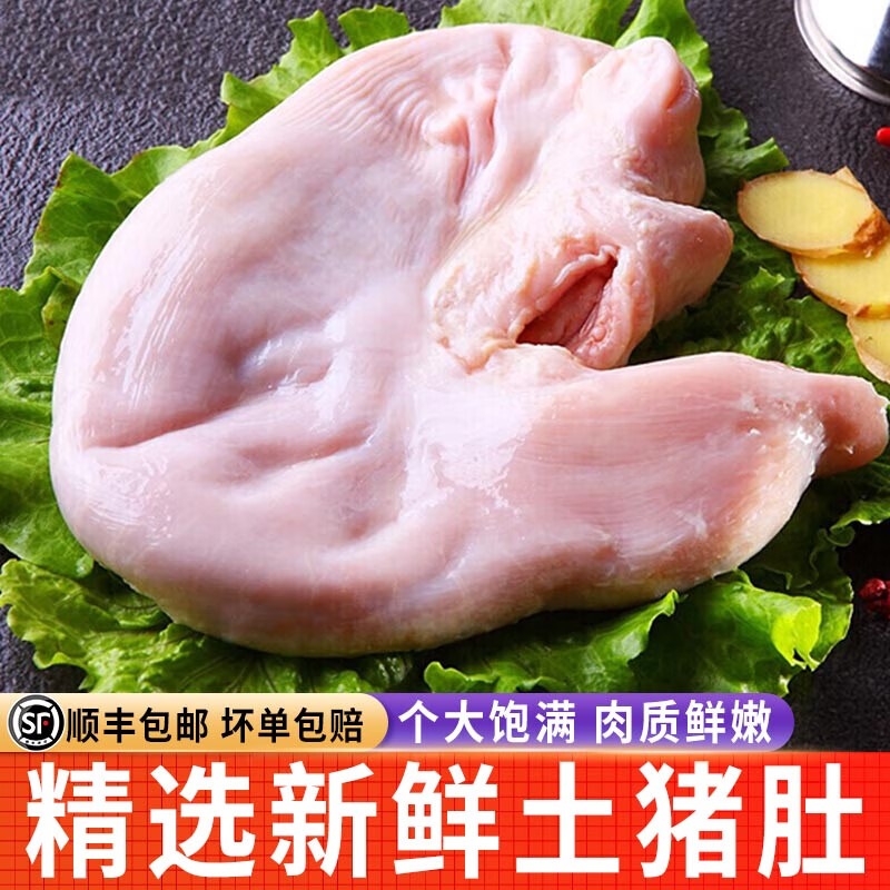 皇波纳特 【顺丰】猪肚新鲜速冻整只猪胃猪副猪内脏卤味食材猪肉生鲜