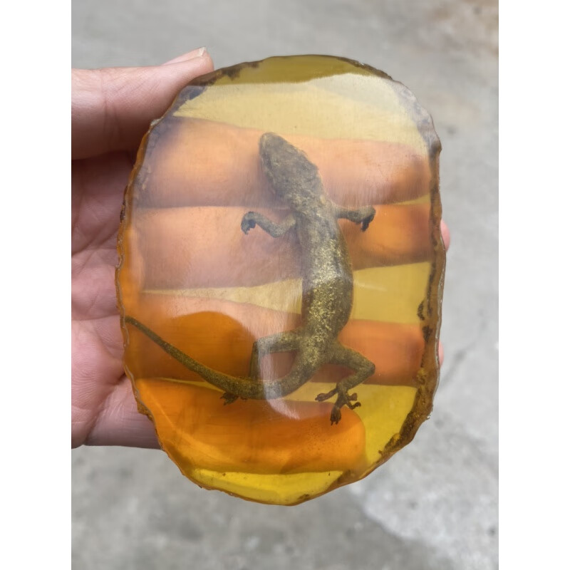 一北 人工琥珀蜜蜡原石 真昆虫标本 摆件 螃蟹知了蝎子蝴蝶 学生创意