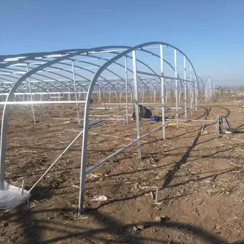 养殖大棚建设全攻略：设计、骨架材料、造价与厂家选择要点