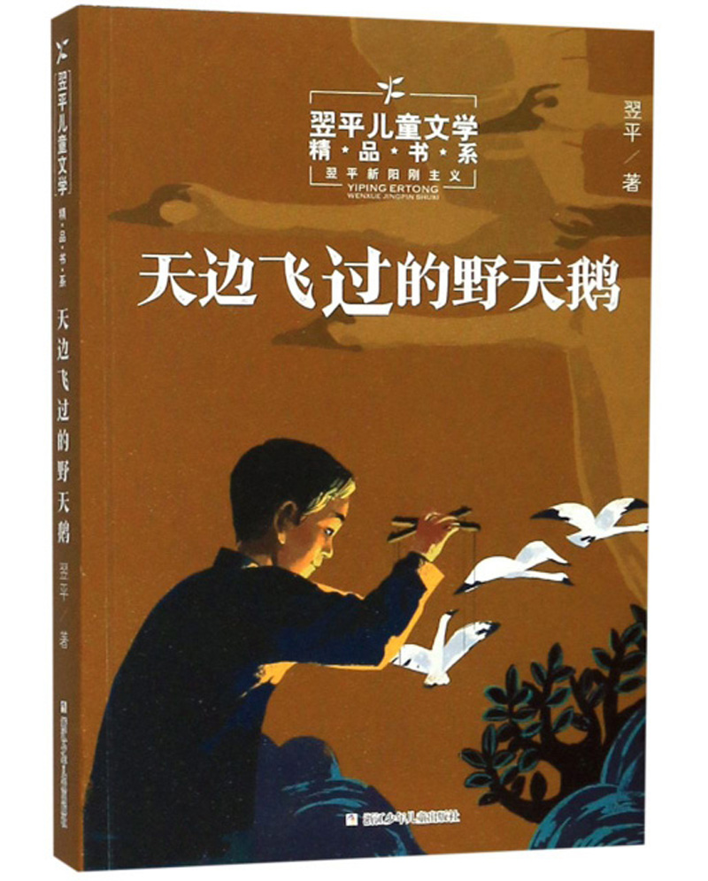 天边飞过的野天鹅/翌平~~文学精品书系