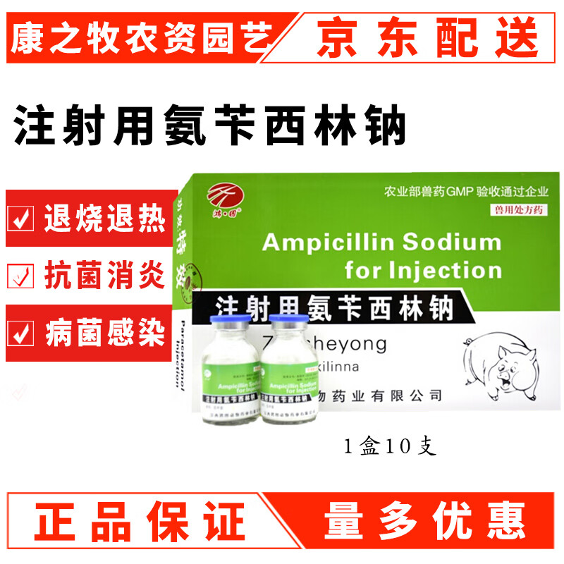 芊守(qsllour)注射用氨苄西林钠0.
