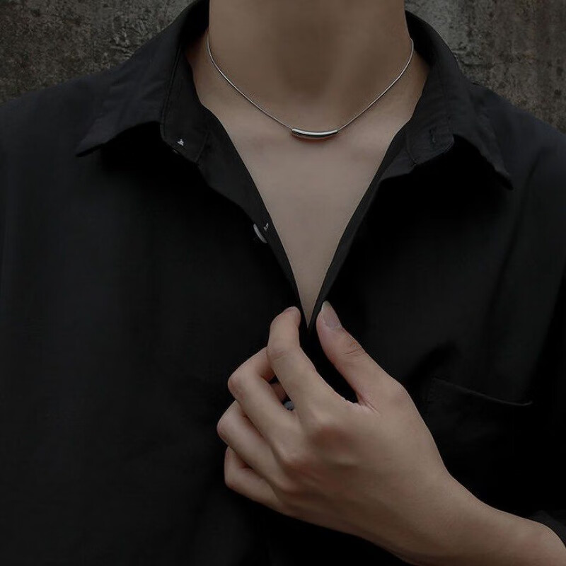 感男士项链轻奢小众设计简约潮男生钛钢吊坠 l049-a(小茄子项链40 5)