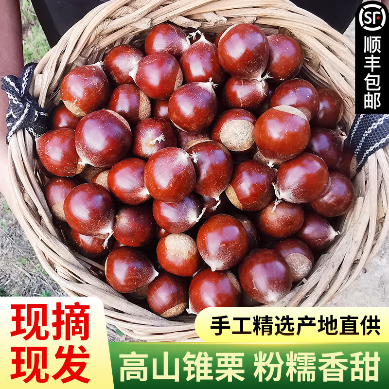 �ʺ�����XIANHEZUO����˳�ᷢ����2023����ժ�����ز���걸�ɽ׶��Բ�����������ʰ��� ��ѡ�����2.3-2.6cm�� ����5��װ