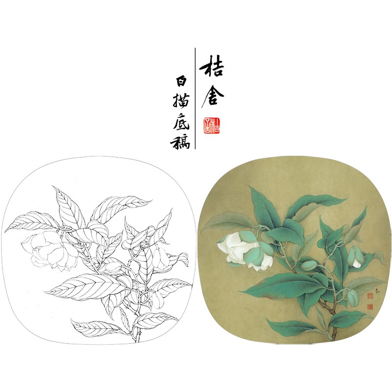 桔舍 李晓明工笔画白描底稿夜合花图原作大小38×39厘米花鸟线稿带a3