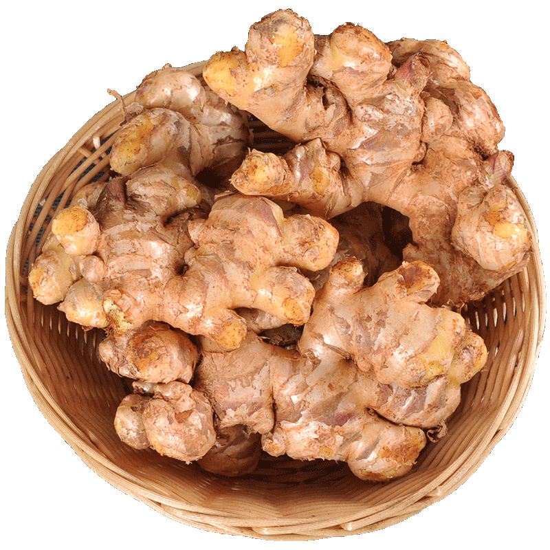 ������ ����С�ƽ� �������� ���ӽ� 2025���½� 9�ﾻ�� Ʒ���Ͻ� 21.97Ԫ