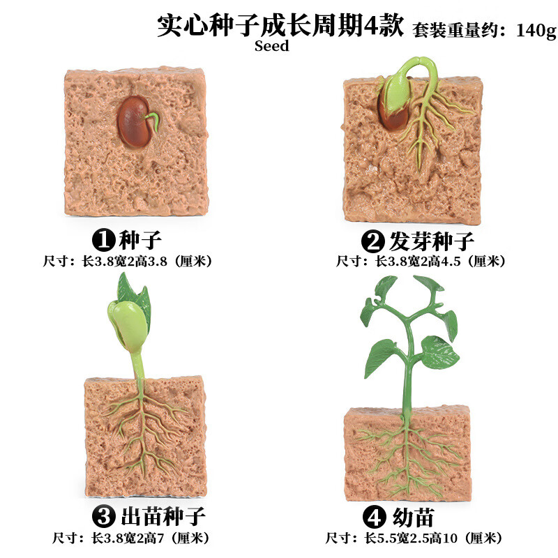 儿童早教仿真海洋动物玩具恐龙狮子鲨鱼老虎昆虫模型场景