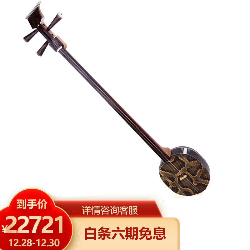 星海大三弦成人大三弦儿童入门大三弦初学考级专业演奏民族乐器8329