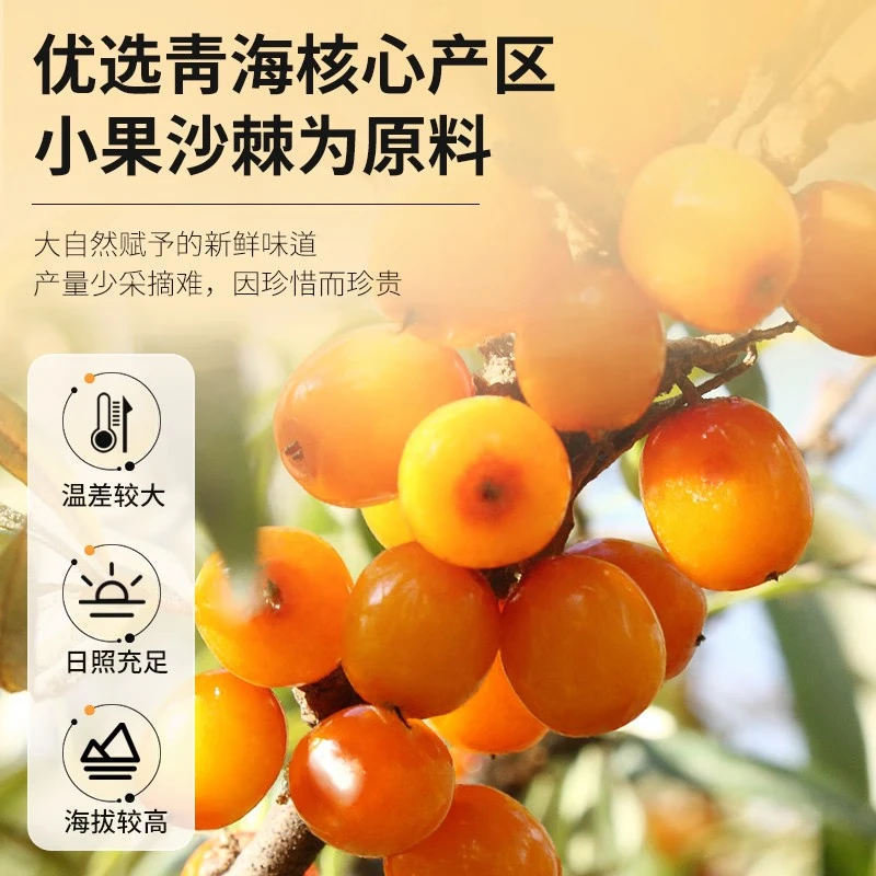 青海伊禧堂优选高海拔小果沙棘原浆礼盒装300ml（30ml*10） 正宗鲜榨沙棘汁满满VC送礼送长辈 【尝鲜礼盒装】30ml*10/盒