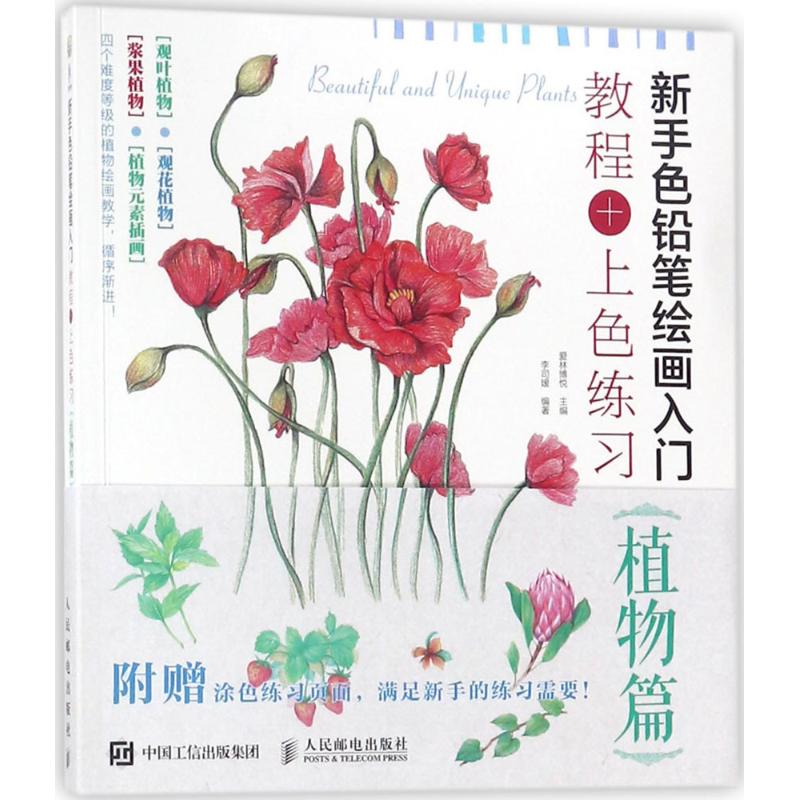 新手色铅笔绘画入门教程 上色练习.植物篇