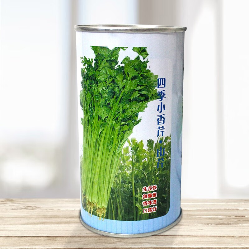 四季小香芹种子 80g/罐装 大田用