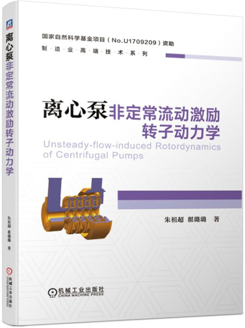 离心泵非定常流动激励转子动力学