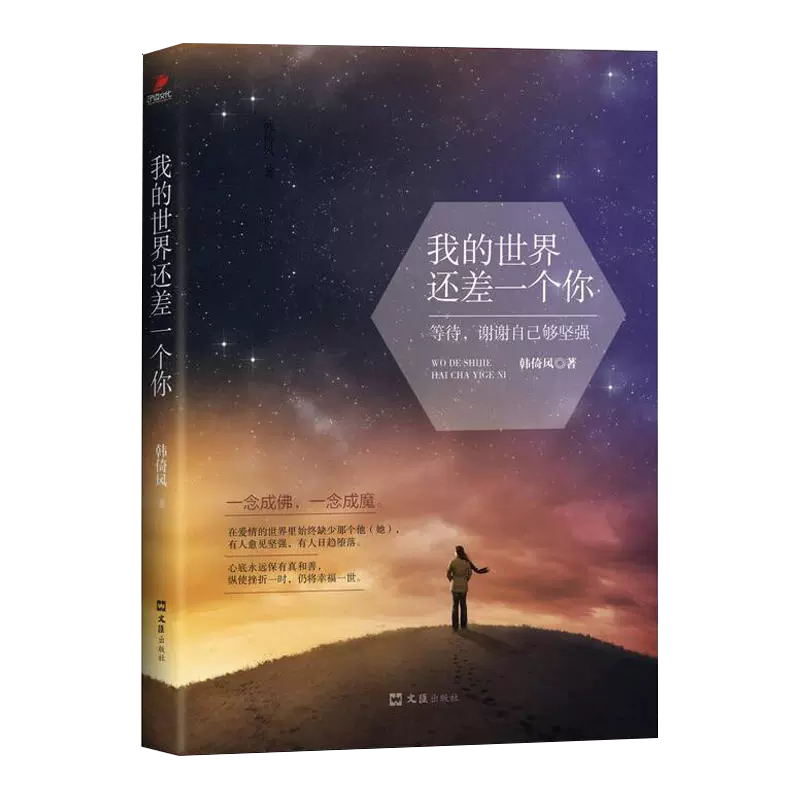 我的世界还差一个你 书籍