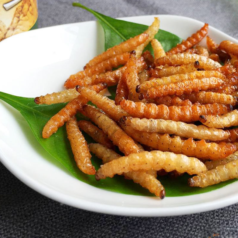 油炸竹虫 云南傣族美食油炸竹香虫香酥竹蜂昆虫美味舌尖上的美味竹蛹